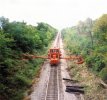 Example of clear-cutting