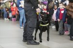 British Transport Police, UK