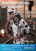 Example of targeted campaign against cable theft in Belgium (...)(The message calls for the implication of the general public and has a humorous touch.